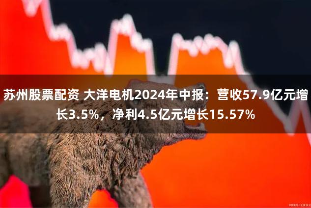苏州股票配资 大洋电机2024年中报：营收57.9亿元增长3.5%，净利4.5亿元增长15.57%