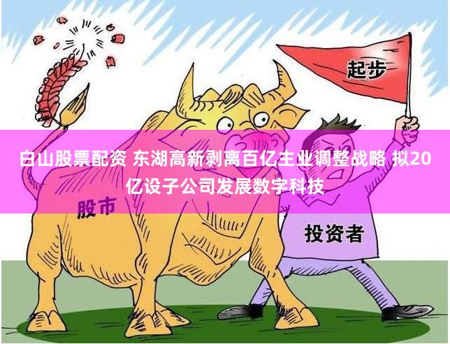 白山股票配资 东湖高新剥离百亿主业调整战略 拟20亿设子公司发展数字科技