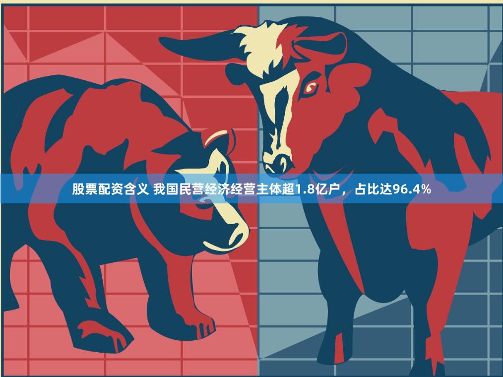 股票配资含义 我国民营经济经营主体超1.8亿户，占比达96.4%