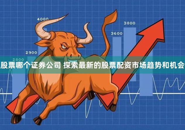 股票哪个证券公司 探索最新的股票配资市场趋势和机会