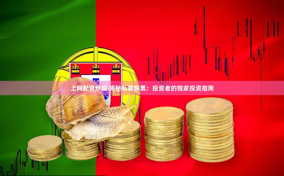 上网配资炒股 揭秘私募股票：投资者的独家投资指南
