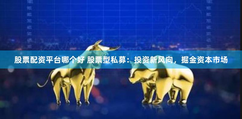 股票配资平台哪个好 股票型私募：投资新风向，掘金资本市场
