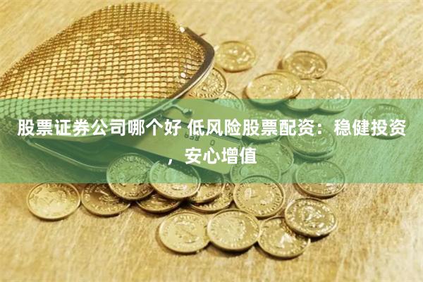 股票证券公司哪个好 低风险股票配资：稳健投资，安心增值