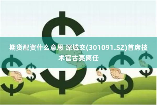 期货配资什么意思 深城交(301091.SZ)首席技术官古亮离任