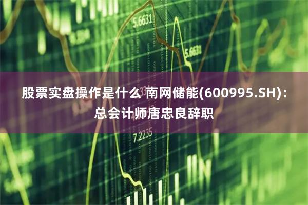 股票实盘操作是什么 南网储能(600995.SH)：总会计师唐忠良辞职