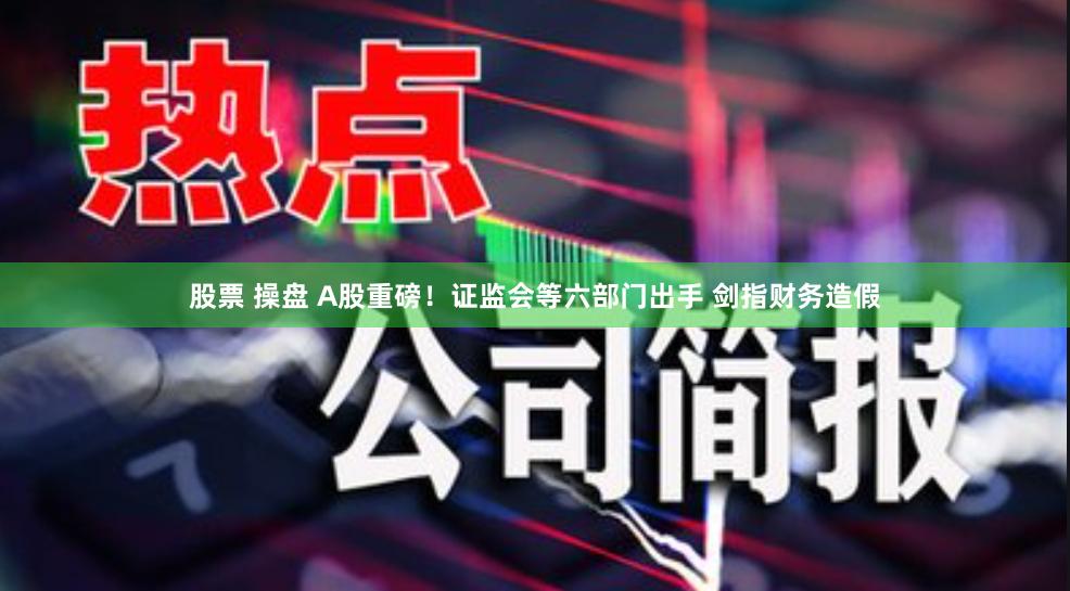 股票 操盘 A股重磅！证监会等六部门出手 剑指财务造假