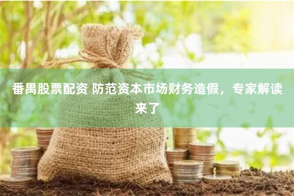 番禺股票配资 防范资本市场财务造假，专家解读来了