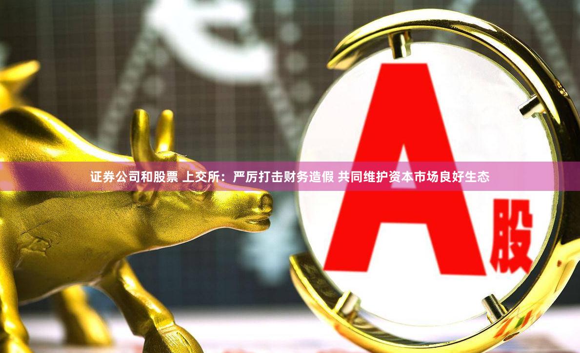 证券公司和股票 上交所：严厉打击财务造假 共同维护资本市场良好生态