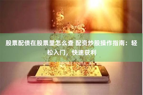 股票配债在股票里怎么查 配资炒股操作指南：轻松入门，快速获利